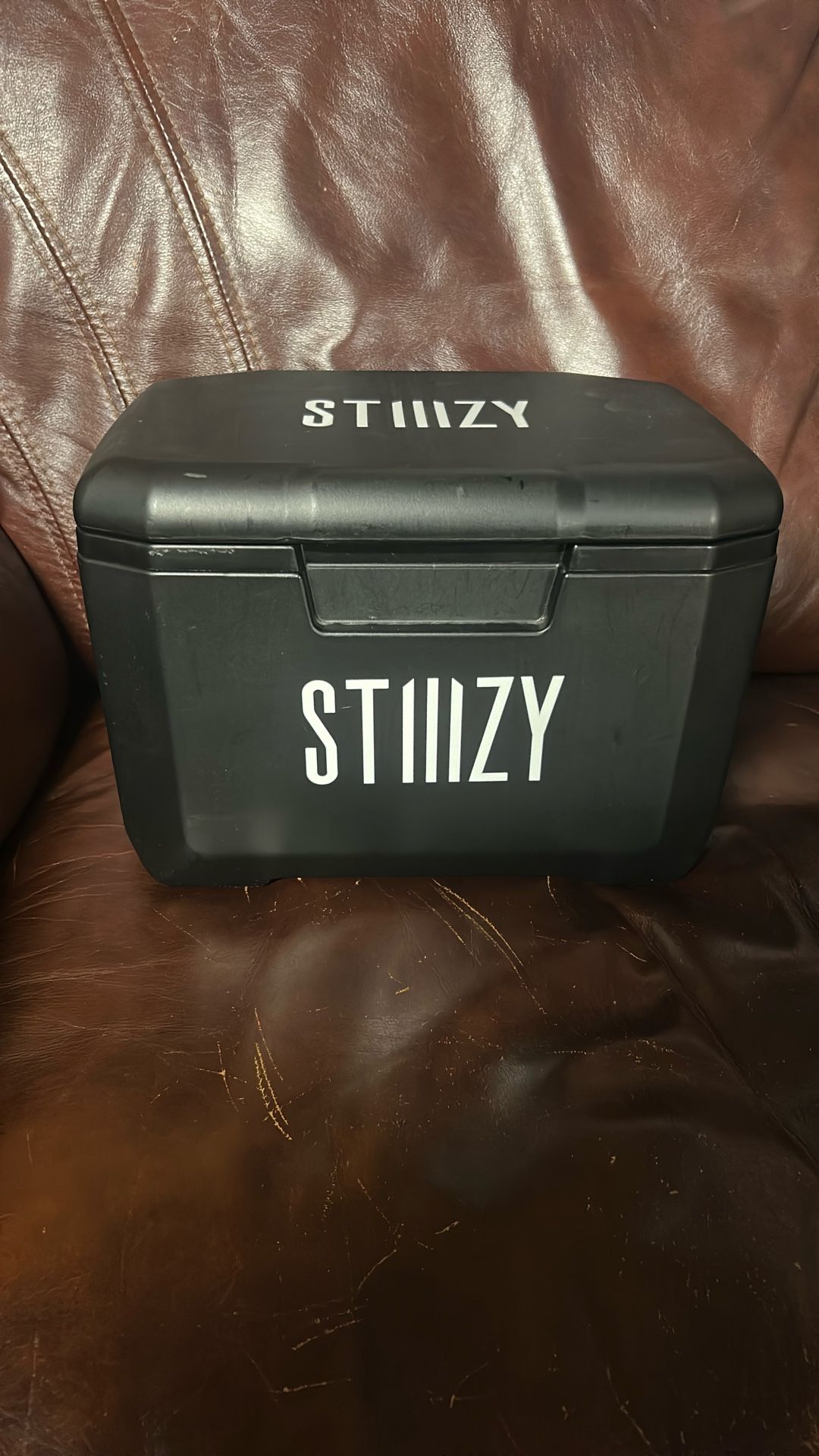Stiiizy Terp Cooler With 710 Accessories E Nail