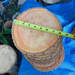 Wood Slices ( Center Pieces)