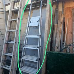 Medium Sized Ladder