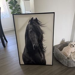 Blk/ white Horse Decor Frame