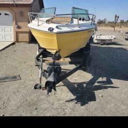 Sea Ray 1976 351 Ford Windsor New Block