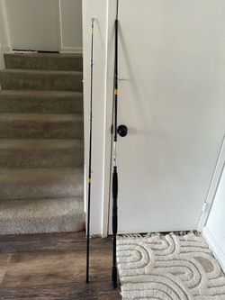 Fishing pole