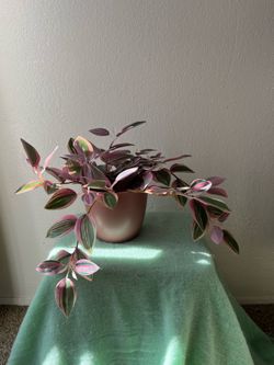 Pink faux plant