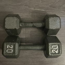 20 LB Weight Set 
