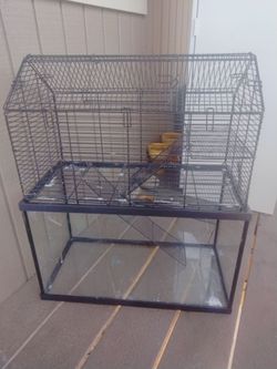 Small Animal Home