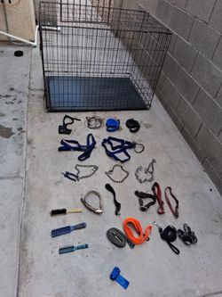 Dog  Accessories 
