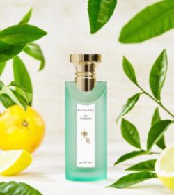 Bvlgari Eau Parfumée au Thé Vert Eau de Toilette