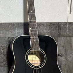 Acoustic Guitar Tanara With Gig Bag