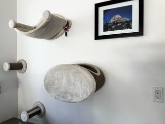 Cat condo