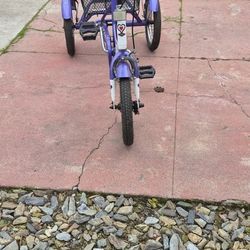 Tricycle / 3 Wheel Bike
