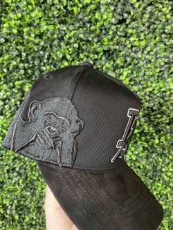 Brand New SDL SnapBack