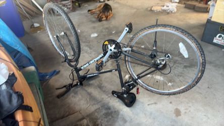 Diamond back  bike