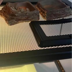 Lizard Tank And Accessories