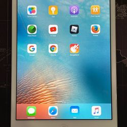 IPAD MINI 1 7.9” WiFi -YouTube Kids//NetFlix//Robolox!!!