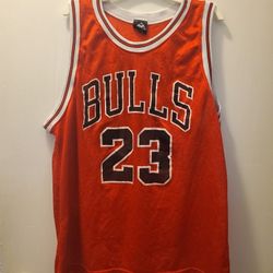 Mid 90's Vintage Bulls Michael Jordan Jersey 