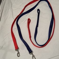 Red and Blue Dog Leash