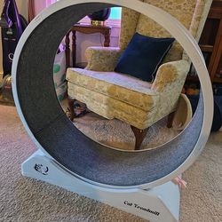 Cat Exercise Wheel, Treadmill