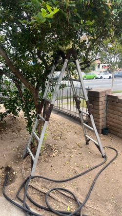 Ladder