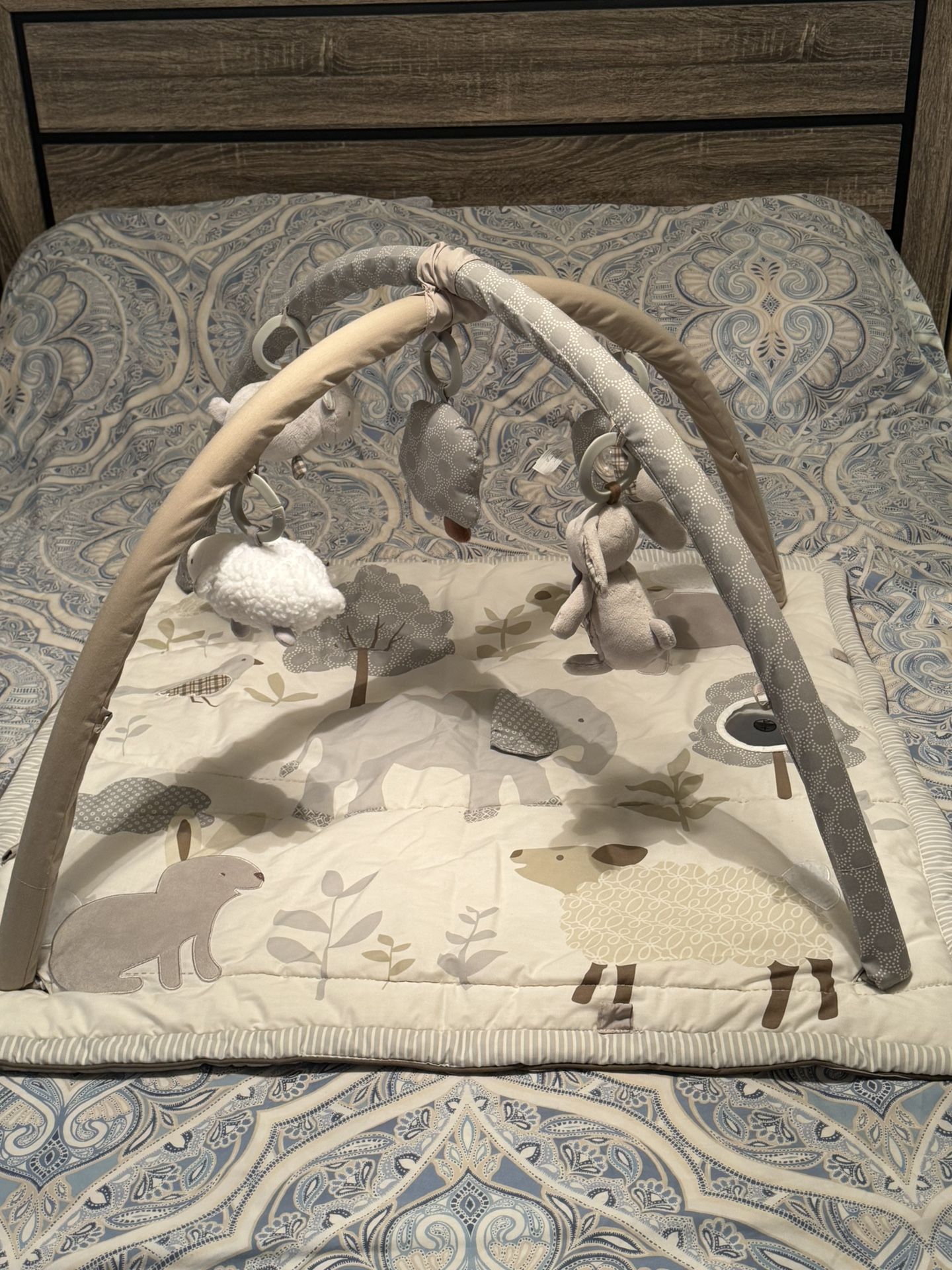 Pottery Barn Animal Friends Classic Activity Gym for Newborns Toddlers.