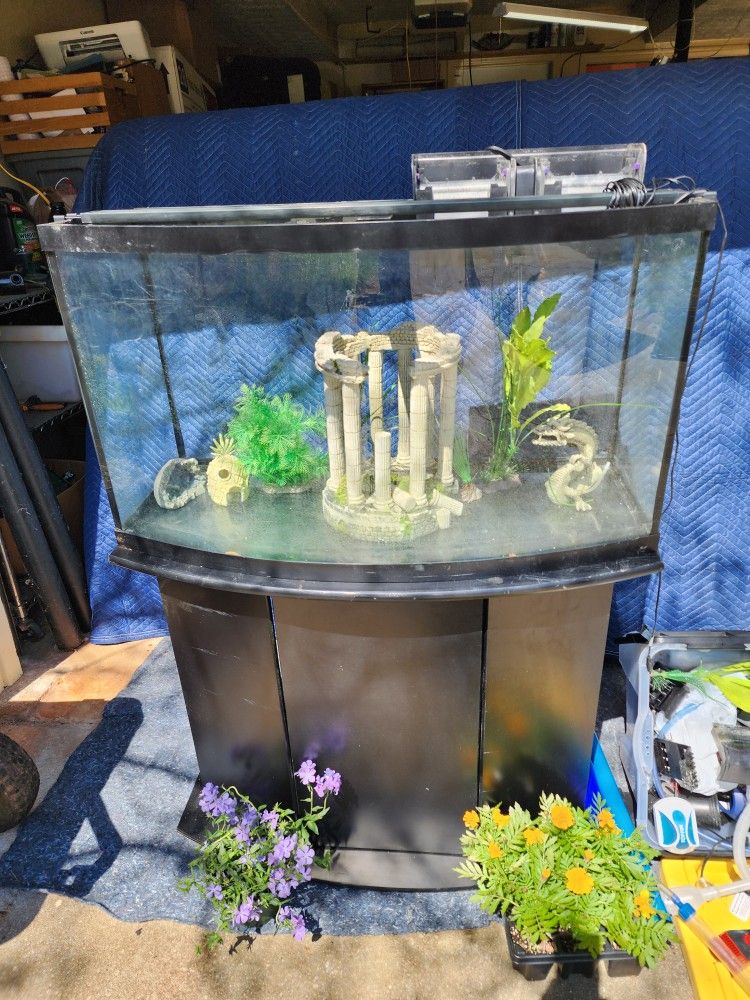 38 Gallon Fish Tank/Aquarium w/ Stand and all supplies in pictures