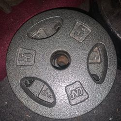 5KG weight plates