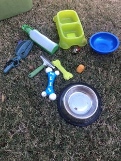 Pet supplies mascota