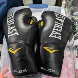 Everlast Gloves