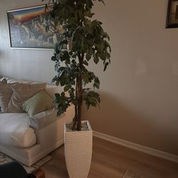 Tree, Dining Room Set 