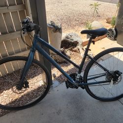 Adult Bike 