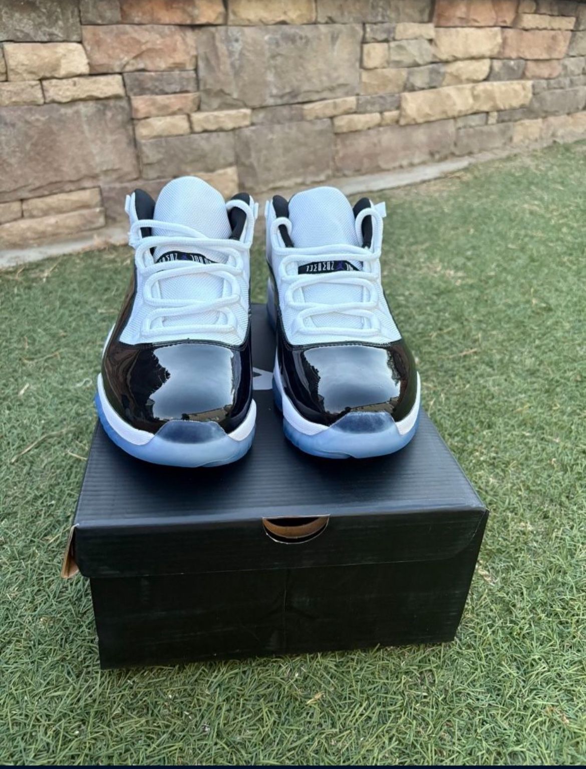 Jordan 11 Concord Low 
