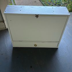 Foldable Wall Desk/vanity Storage Cabinet