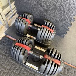 Bowflex SelectTech 552 Adjustable Dumbbells Pair, 5-52.5 lbs, Space-Saving Home Gym Equipment