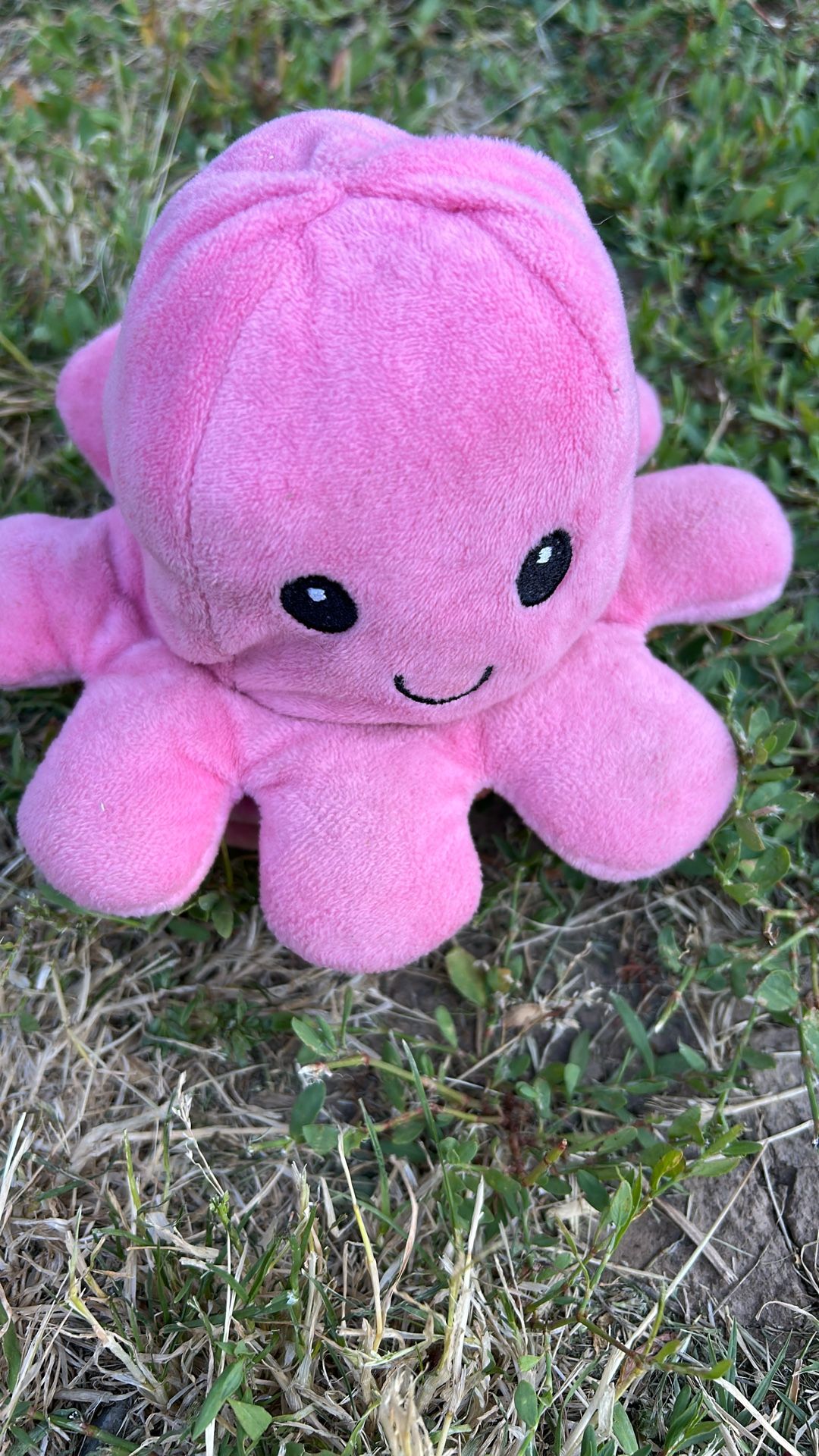 Pink octopus