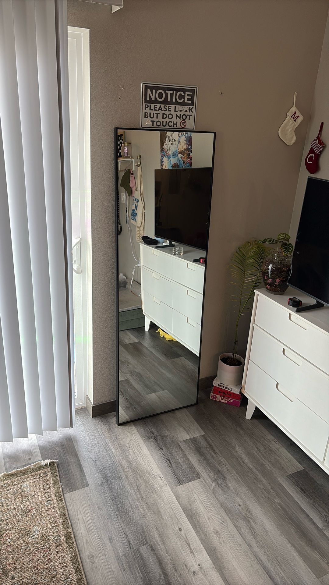 Body length mirror