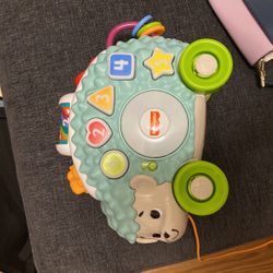 Hedgehog Toy