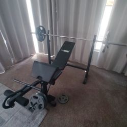 Weight Bench With Weights And Bar