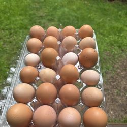 Eggs