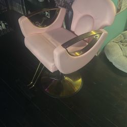 Salon Chair