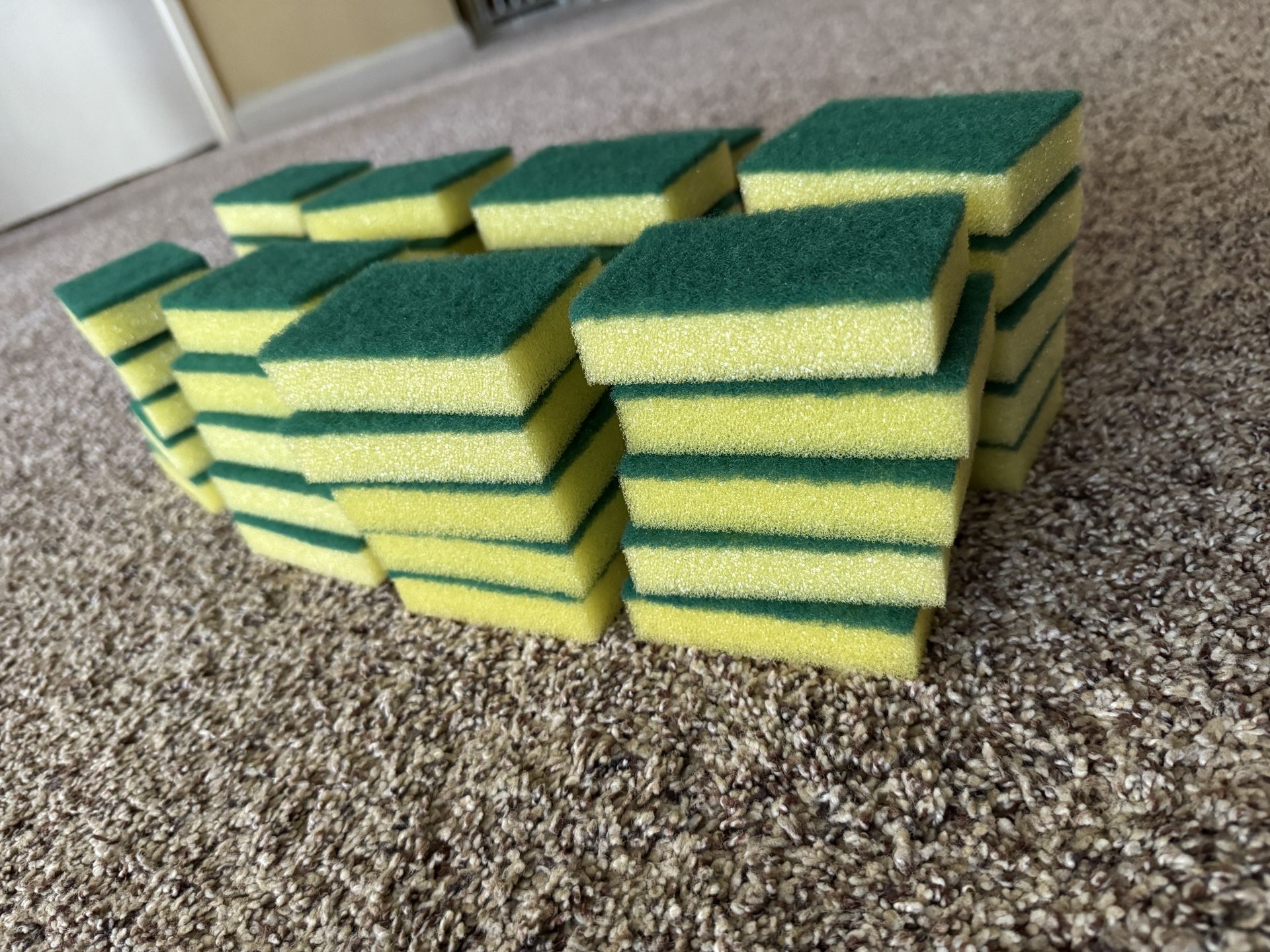 Sponges
