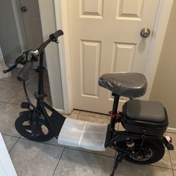 Electric Scooter