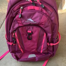 Pink High Sierra Backpack