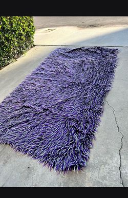fuzzy purple tarp 🎃