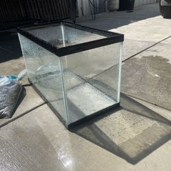 10 Gallon Fish Tank 