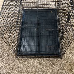Dog Kennel