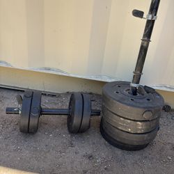 2 Dumbbells + Adjustable Weights (40lbs Total)