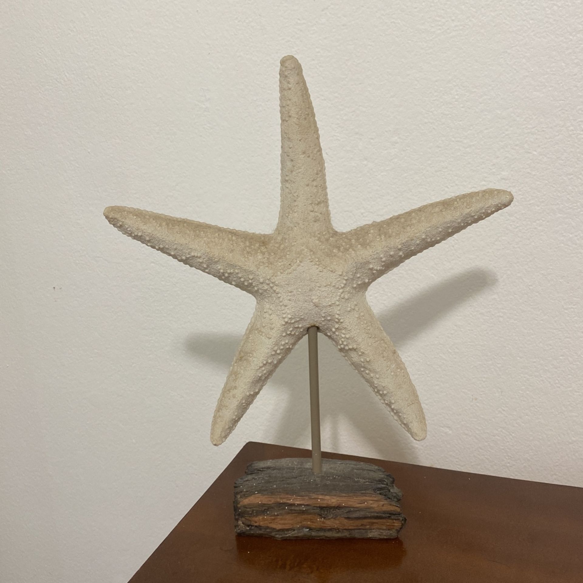 Sparkly Drift Wood Starfish Will Trade!