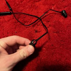 Beats Flex Earbuds
