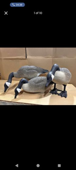 Decoy gooses