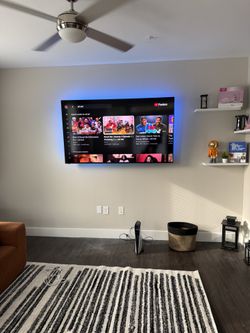 Full Motion Mount