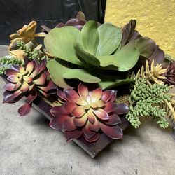 Succulent Arrangement